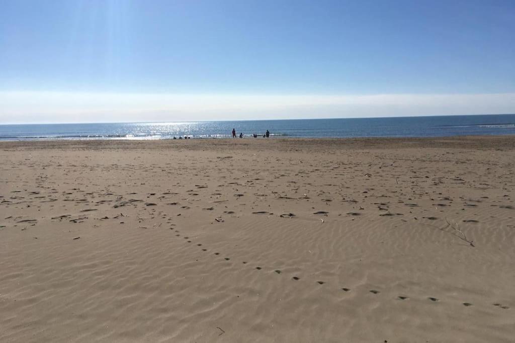 Appartement Neuf 4 Etoiles - Sunset Lodge, Narbonne Plage ภายนอก รูปภาพ